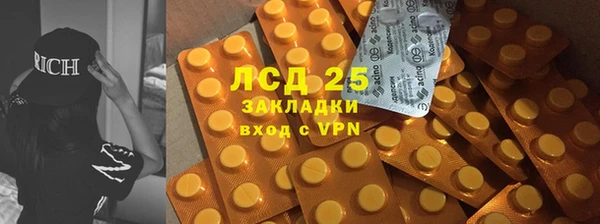 гидра Слюдянка