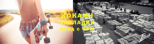 прущие грибы Осташков