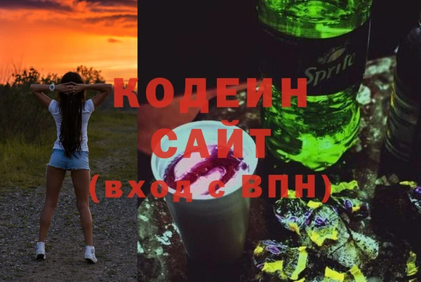 прущие грибы Осташков