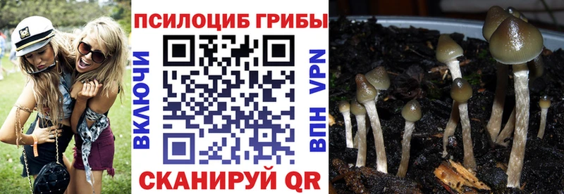Псилоцибиновые грибы мухоморы  Хотьково 